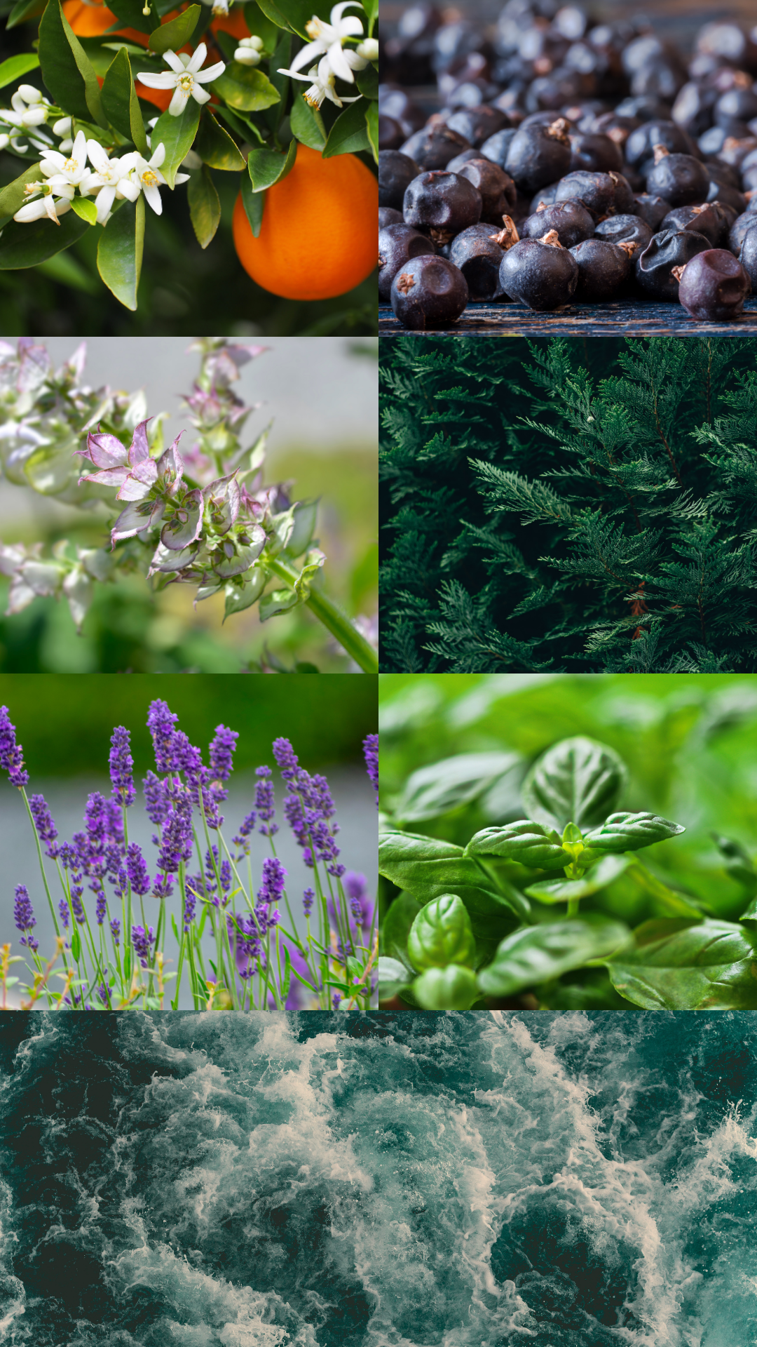 Home Spray Serenidad · 120ml