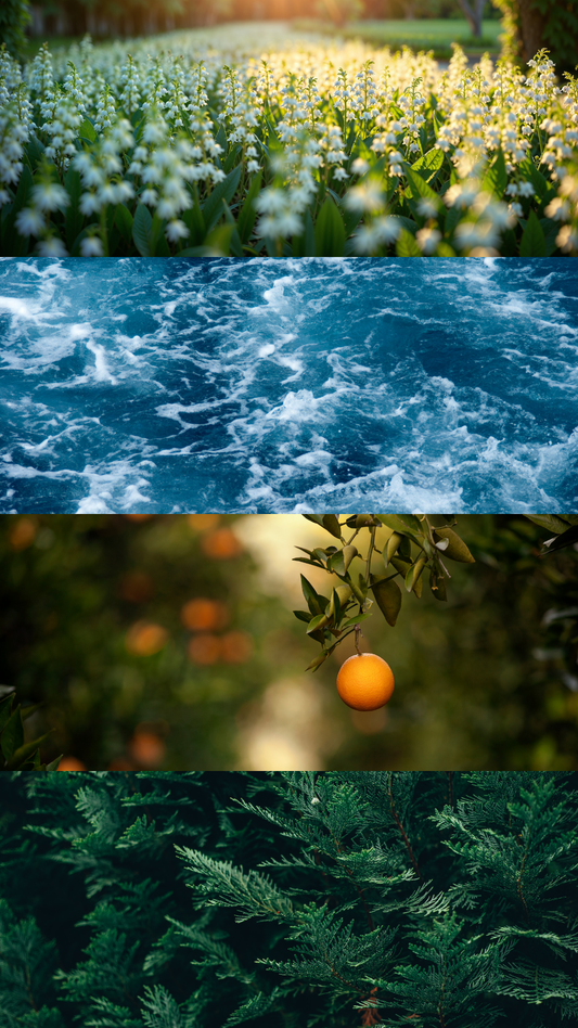 Vela Aromática Serenidad